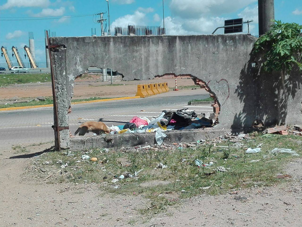 16389420_1824787517759166_1932702911_o